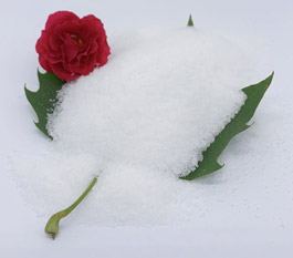 কোন ধরনের পলিঅ্যাক্রিলামাইড গাড়ি ধোয়ার বর্জ্য জল চিকিত্সা করার জন্য বেশি কার্যকর?