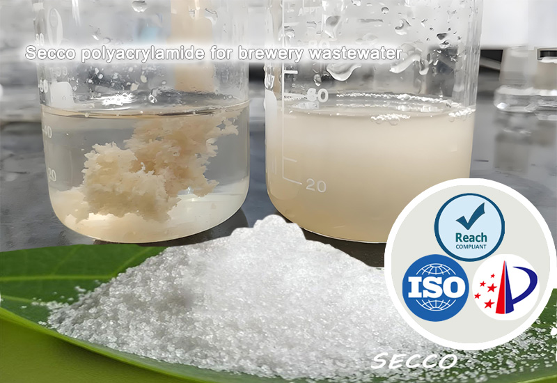 ব্রুয়ারি বর্জ্য জল চিকিত্সায় পলিঅ্যাক্রিলামাইড (পিএএম) এর নির্বাচন এবং কার্যকারিতা