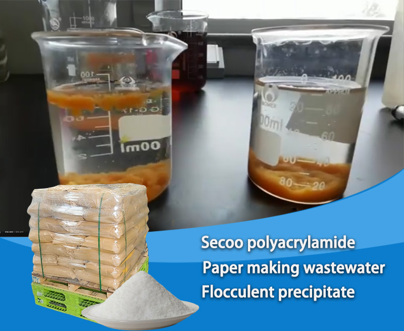 কাগজ মিল বর্জ্য জল চিকিত্সার জন্য পলিঅ্যাক্রিলামাইড (পিএএম): নির্বাচন এবং কার্যকারিতা